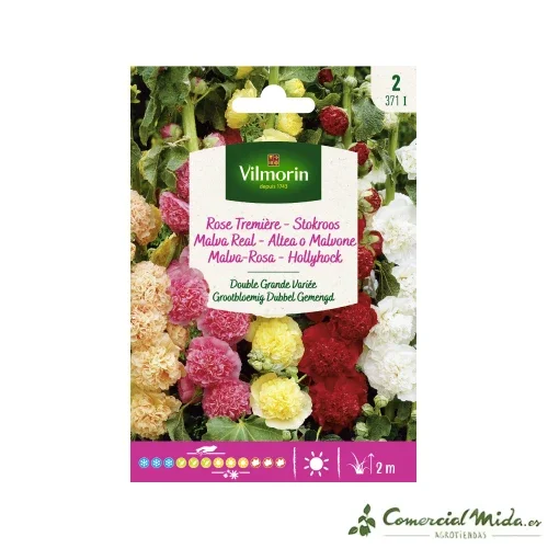 VILMORIN Semillas Malva Real Doble Grande Variada