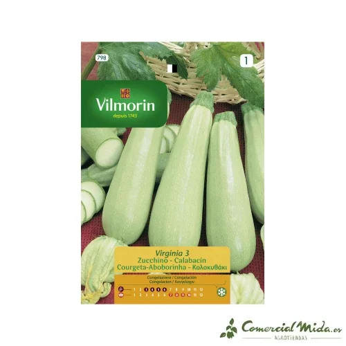 VILMORIN Semillas Calabacín Virginia 3