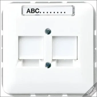 JUNG CD569-25NWELG Bauteil / Zentralplatte Kommunikations-Schalterprogramm