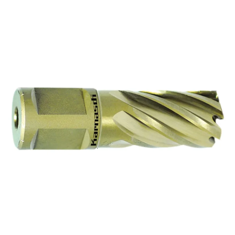 Produktbild von Kernbohrer GOLD-LINE 30 Weldon, Ø 55 mm