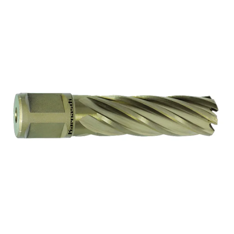 Produktbild von Kernbohrer GOLD-LINE 55 Weldon, Ø 41 mm