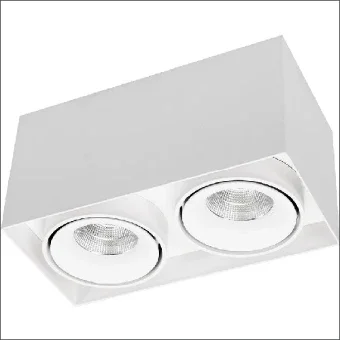 2.17.1605 2.17.1605 Downlight/Spot/Strahler 200 mm
