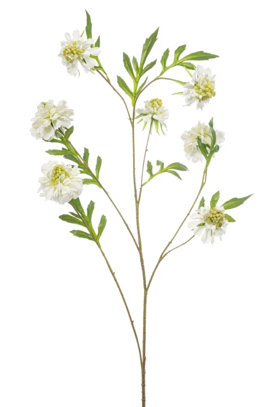 Scabiosa XL künstlich 113 cm - 1 Stiel - Creme