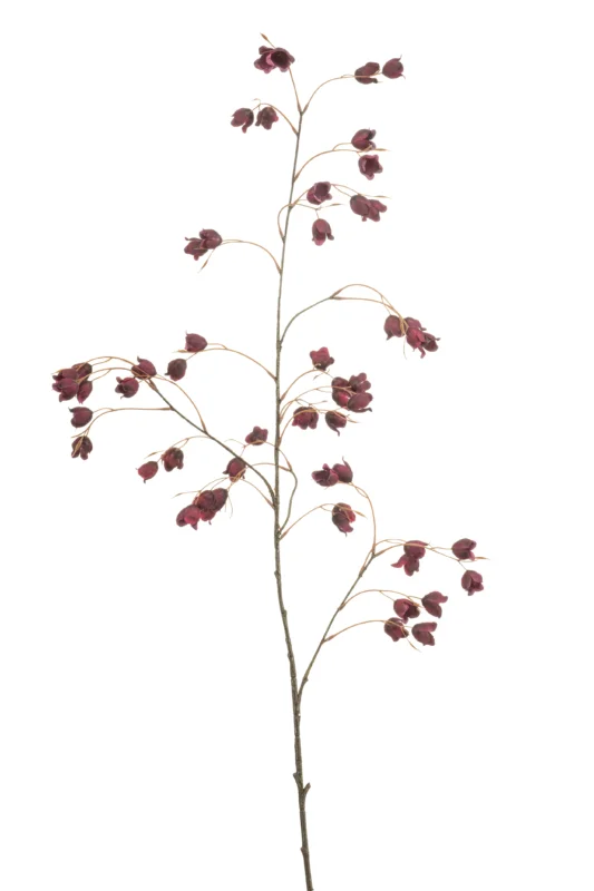 Buttercup künstlich 105 cm - 1 Zweig - Bordeaux
