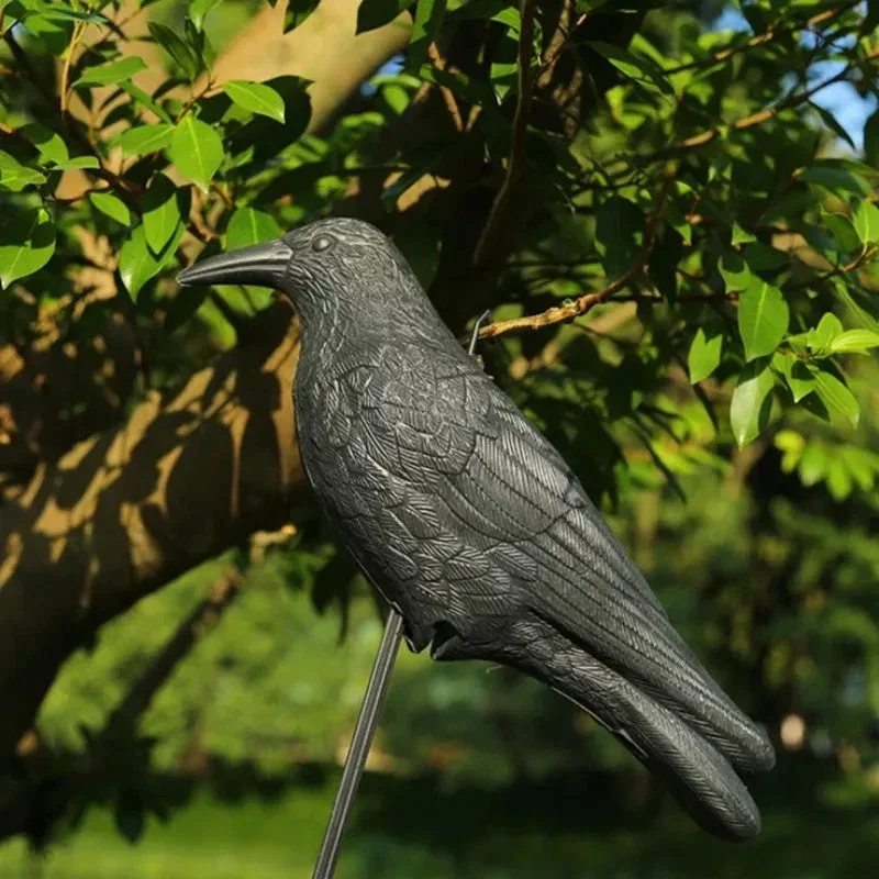 Lebensechte Krähenattrappe 35 cm | Effektiver Vogelschutz für Balkon und Garten