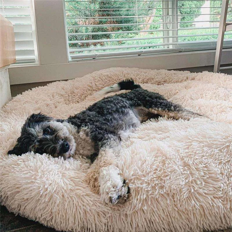 Beruhigendes Anti-Stress Hundekissen – Nuvio