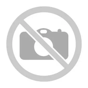 ENPHASE 2008025 Lichtnetgekoppelde DC/AC omvormer 172 mm