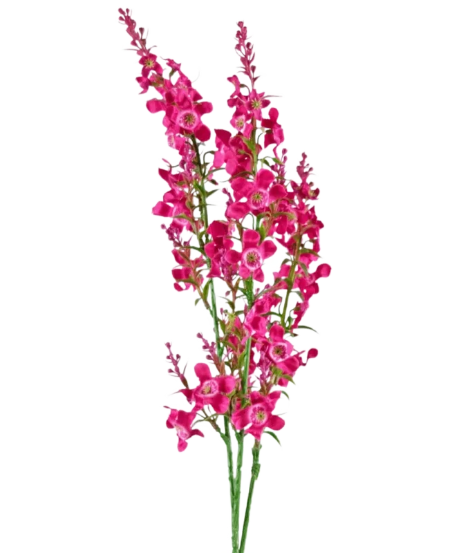 Die künstliche Blumen-Katzenminze 75 cm rosa hat einen Stiel aus leuchtend rosa künstlichen Blüten mit grünen Blättern, isoliert auf einem weißen Hintergrund.