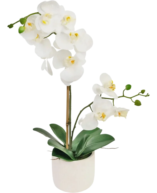 Die künstliche Orchidee Real Touch 60 cm weiß hat zarte weiße Blüten, grüne Knospen und breite grüne Blätter, getragen von einem dünnen Stab in einem kleinen weißen Topf.